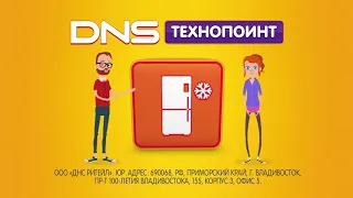 DNS Технопоинт