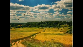 Песня Сергея Ларина «Нужная дорога»