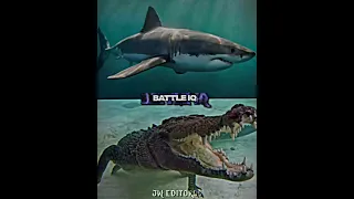 Great White Shark Vs. Saltwater Crocodile (fixing old cap) #shorts #fyp #edit