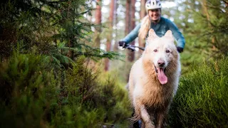 HOW TO TRAIN A MTB TRAIL DOG - AMANDA & KAI