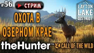 theHunter Call of the Wild #56 СТРИМ 🔫 - Охота в Озерное Крае - Револьвер, Ружьё