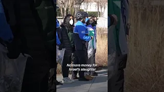 Pro-Palestine protesters block major highways in Washington DC