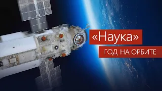 «Наука»: год на орбите