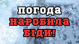 УВАГА! На Україну налетять хуртовини і вдарить мороз: синоптик розповіла, де вируватиме новий циклон