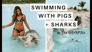 SWIMMING WITH PIGS IN THE BAHAMAS | Nurse Sharks, Exumas Scuba Diving + Iguana Island