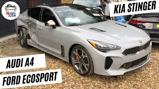 Kia Stinger GT1, Audi A4 B9, Ford EcoSport!!! Czyli 3X nowe auta na naszym placu!!