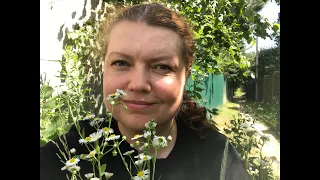 Дачные дела: что растет, что цветет, урожай / Green gardening in summer house in Belarus The harvest