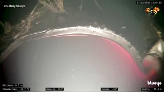 WATCH: Underwater footage said to show damage to Russia-Germany Nord Stream gas pipeline