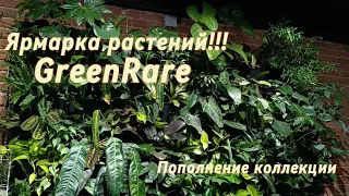 Обзор ярмарки растений GreenRare/Новые растения