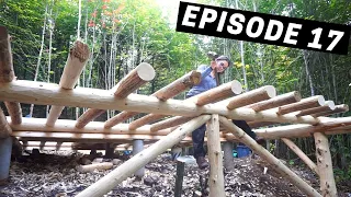 Building A Log Cabin | Ep. 17 | Thirty joists later, the first floor is DONE!