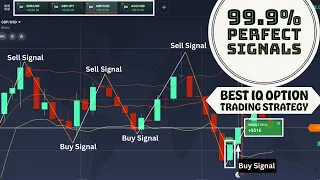 99.9% Perfect Signals| Most Profitable IQ Option Trading Strategy🔥🔥🔥