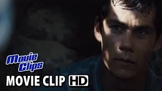 The Maze Runner  Let Me Show You Clip (2014) HD