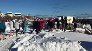 Ben's Polar Bear Dip