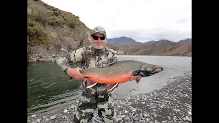 Monster Arctic Char