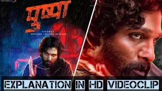 Pushpa: The rise movie explanation in hindi 2021|| MR EXPLAINER V