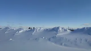 Нючакан (Иркутск). Орёл и СеРешка.