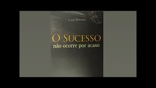 livro audiobook Lair ribeiro - o sucesso não acontece ao acaso