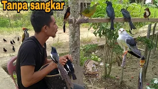 Banyak orang tidak percaya_semua pada jinak