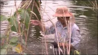 Vietnam farmers benefit from rising sea levels