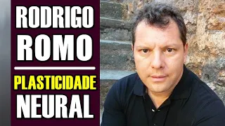 PLASTICIDADE NEURAL: A Supraconfederação e o Despertar Cognitivo by Rodrigo Romo e João Castro