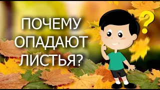 Почему осенью желтеют и падают листья?