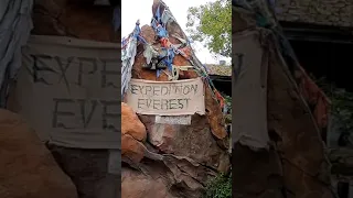 Expedition Everest - How Long Is The Line For This Disney World Roller Coaster? #Shorts