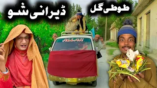 Tuti Gull Derany Sho Pashto New Funny Video 2023 by Bebe Vines Plus