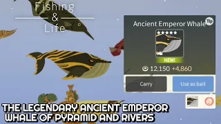 Fishing and Life | Catching Ancient Emperor Whale in Pyramid and Rivers