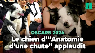 Messi, le chien d'"Anatomie d'une chute" surpris en train d'applaudir lors des Oscars 2024