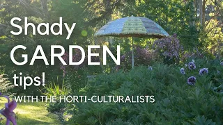 Shade gardening success with The Horti-Culturalists + how to choose the best plants for shade