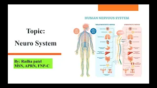 FNP/AGNP  Neuro System Review