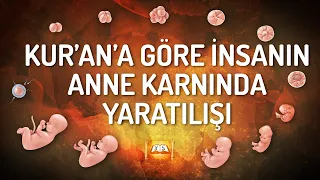 Belgesel | Kur'an'a Göre İnsanın Anne Karnında Yaratılışı, Ünlü Embriyolog Keith Moore Bakışıyla