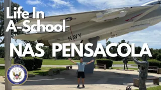 Joining the Navy at 30 | A School | NAS Pensacola | Summer 2021