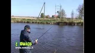 Žvejo Žinios Karšių ir  Kuojų žvejyba  Pakalnės upėje Romada Plius
