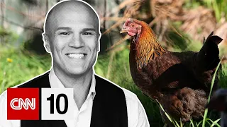 What's The Deal With Backyard Chickens? | January 23, 2023