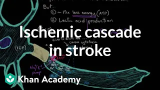 The ischemic cascade in stroke | Circulatory System and Disease | NCLEX-RN | Khan Academy