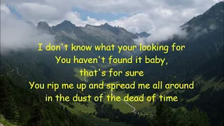 The Cardigans-My Favourite Game lyrics