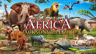 Zoo Tours: The Africa Loop | Jacksonville Zoo