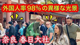 Full of Foreign Tourists in Nara Japan 98% are Inbounders in Kasuga Taisha Shrine 2024