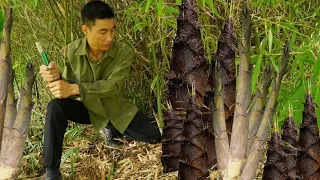 Harvesting BAMBOO SHOOTS to go to the market to sell, take care of corn plants / mary daily life