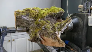 Mesmerizing Wood Art: Transforming Mossy Pine Root into Masterpiece!