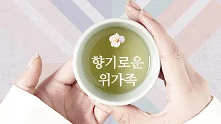 위가족 동영상