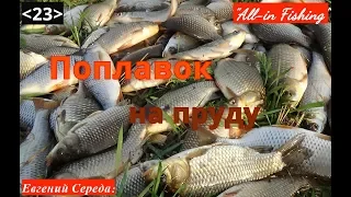 Поплавок на пруду. "All-in Fishing". Вып. 23.