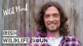 Seán Ronayne | Irish Wildlife Sounds | Talk