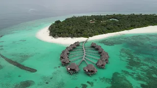 Coco Palm (dhuni kolhu) island by drone