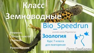 19. Земноводные часть II (Speedrun зоология 7 класс, ЕГЭ, ОГЭ 2021)