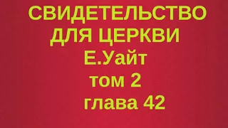 Свидетельство для церкви том 2 глава 42