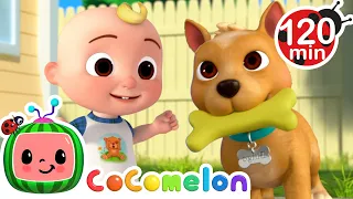 Doggie Care with JJ and TomTom! | Animals for Kids | Funny Cartoons | Learn about Animals