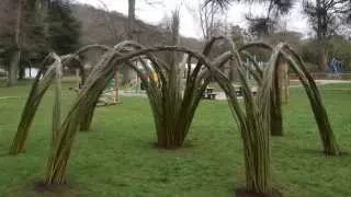 Building a willow cathedral - start to finish in 90 seconds!