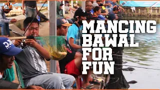 (Short Video) MMFC: Mancing Bawal buat seru-seruan!